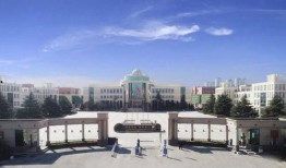 山东国学爆料最新消息今天,今日热点事件深度解析